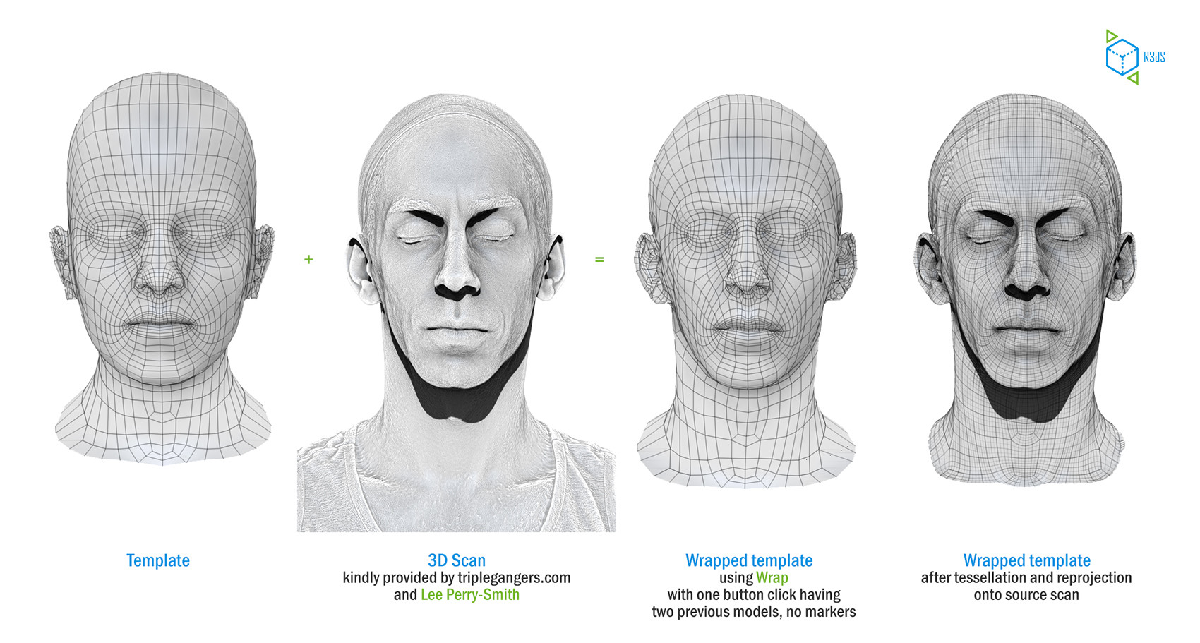 R3dS Wrap Topology Transfer Software